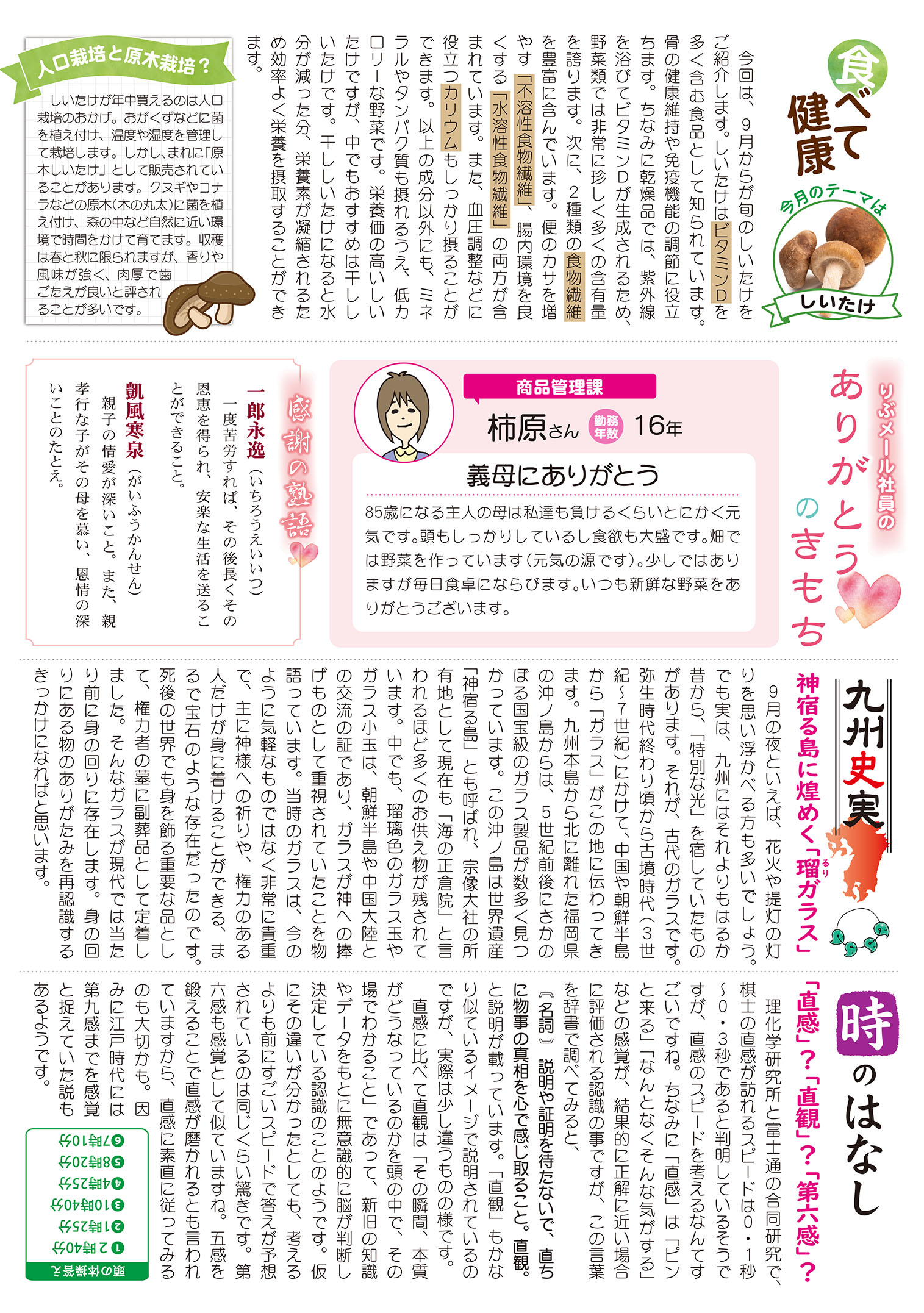 2ページ